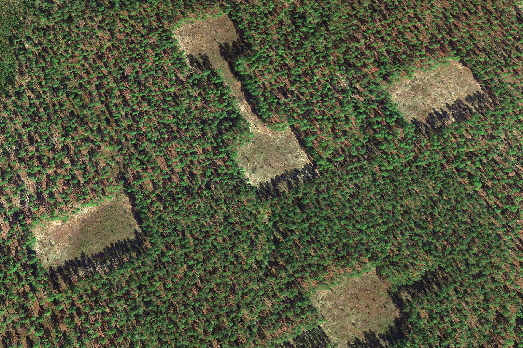Savannah River Site google earth